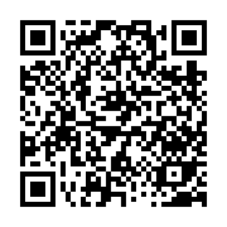 QR code for P516K