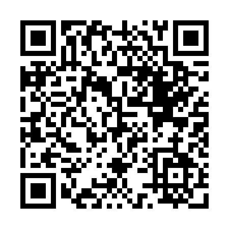 QR code for P516Q