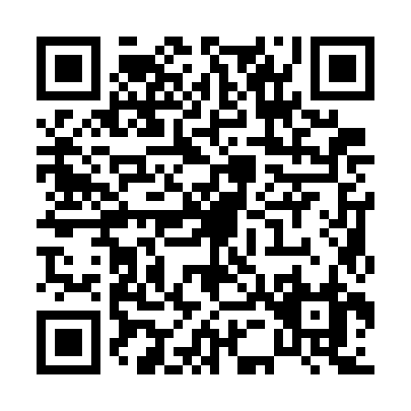 QR code for P517J