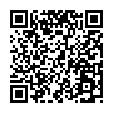 QR code for P517N