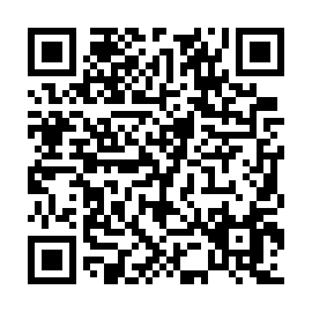 QR code for P517Q