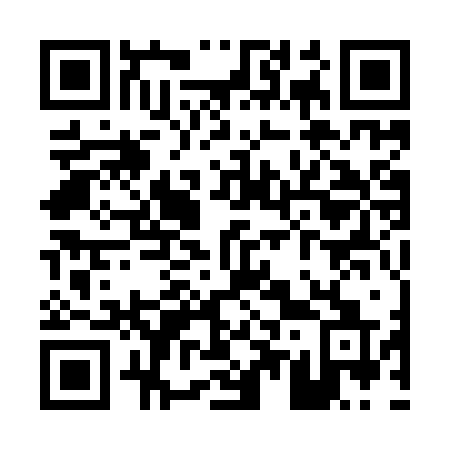 QR code for P519ZQ