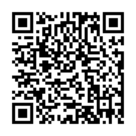 QR code for P521H
