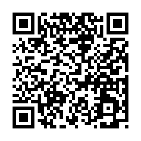 QR code for P523E