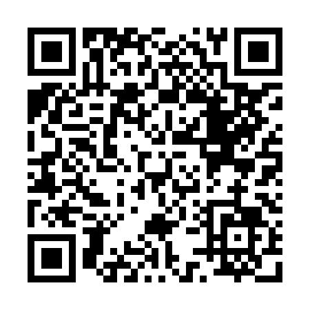 QR code for P528L