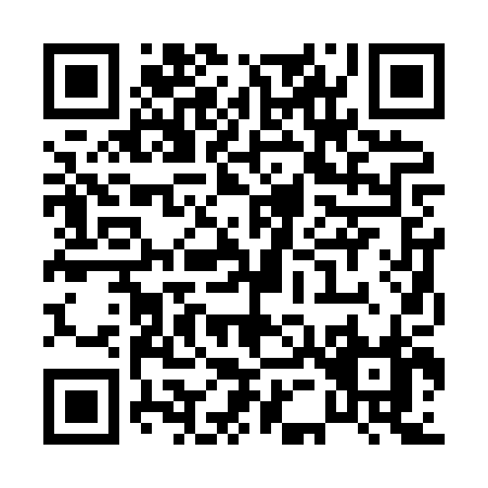 QR code for P528P