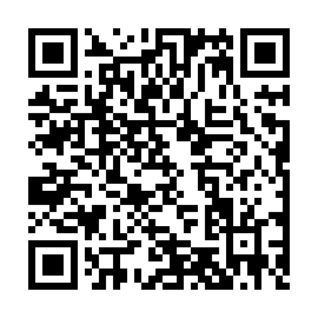 QR code for P528T