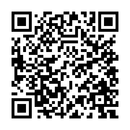 QR code for P528Z