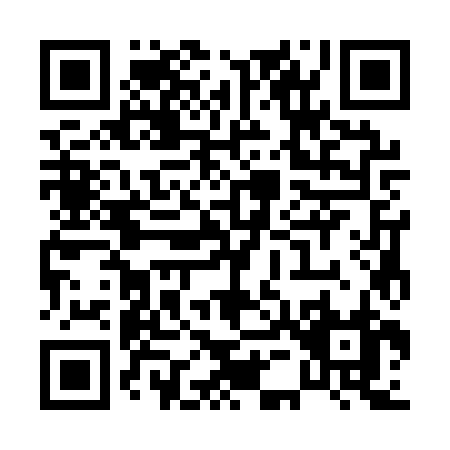 QR code for P531Z