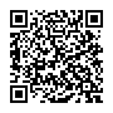 QR code for plate P53 2AE
