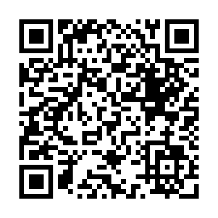 QR code for P533D