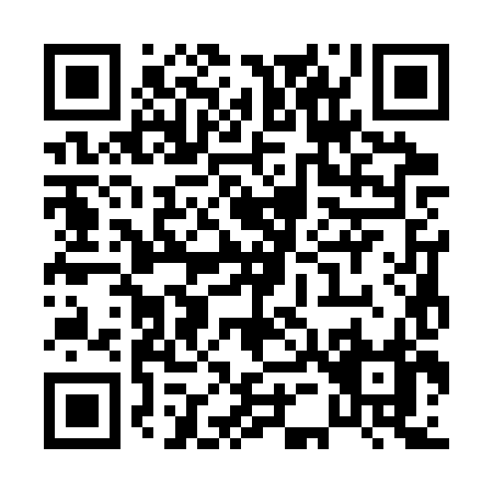 QR code for P533X