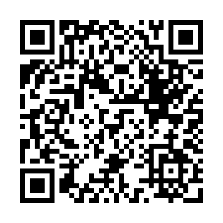 QR code for P533Y