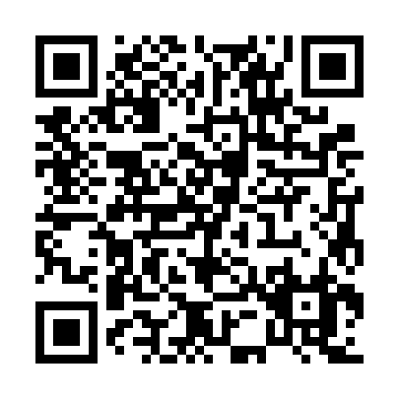 QR code for P536J