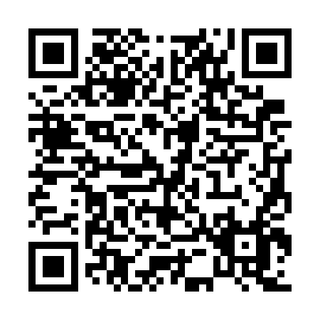 QR code for P537D