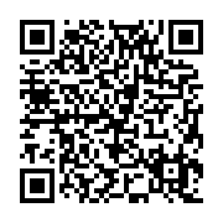 QR code for P538B