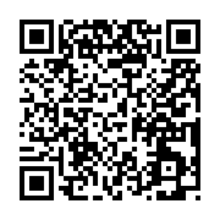 QR code for P538S