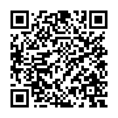 QR code for P538Z