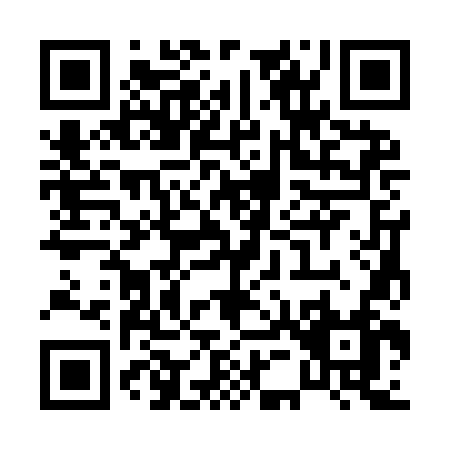 QR code for P539N