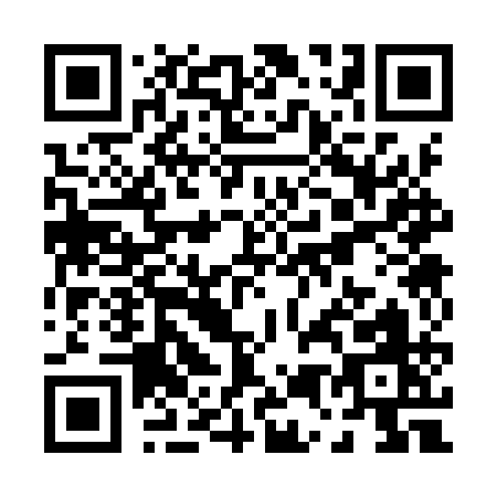 QR code for P539Q