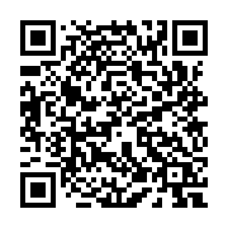 QR code for plate P53 9ZR