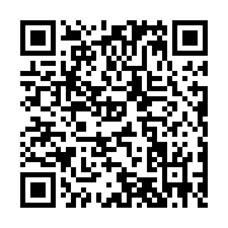 QR code for P540G
