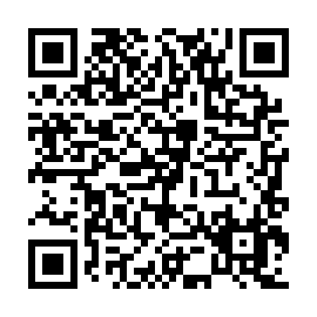QR code for P541H