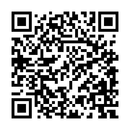 QR code for P541I