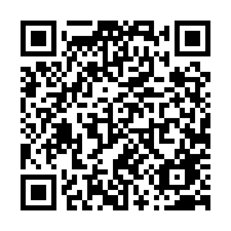 QR code for P541PG