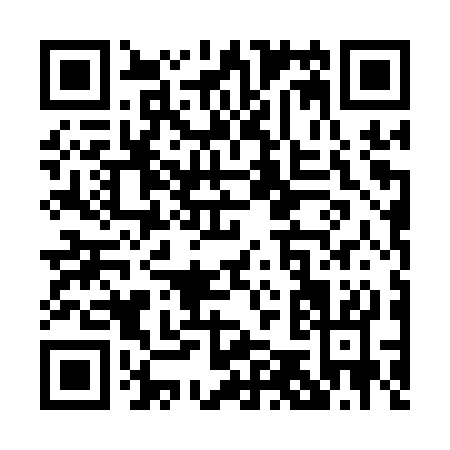 QR code for P541S