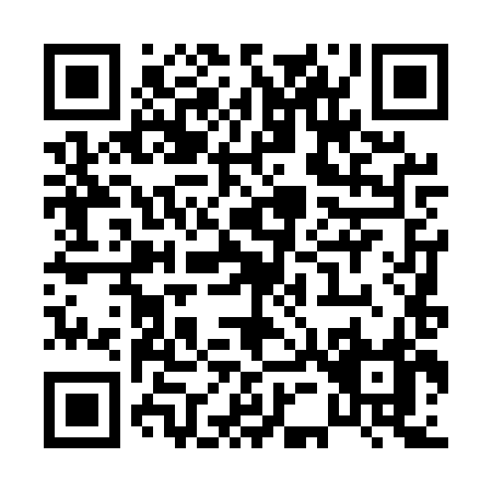 QR code for P545X