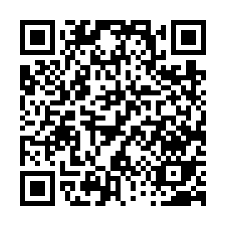 QR code for P546S