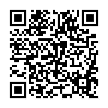 QR code for P546U