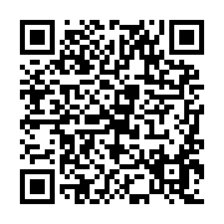 QR code for P549I