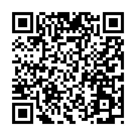 QR code for P549T