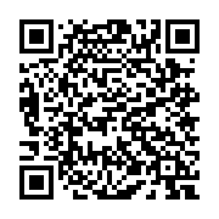 QR code for P550FH