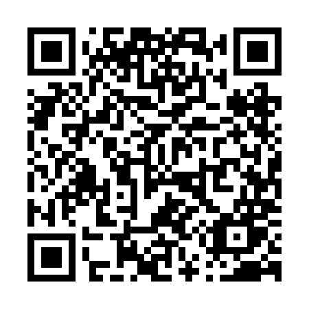 QR code for plate P55 2MW