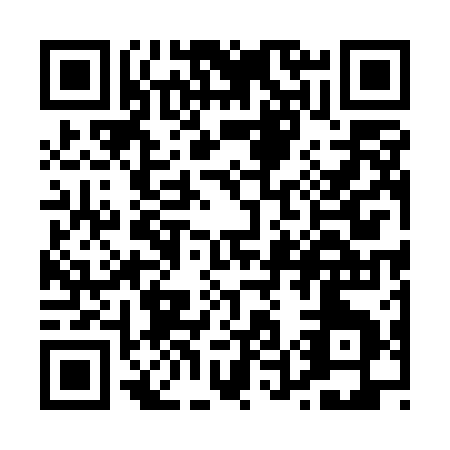 QR code for P555A