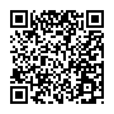 QR code for P560X