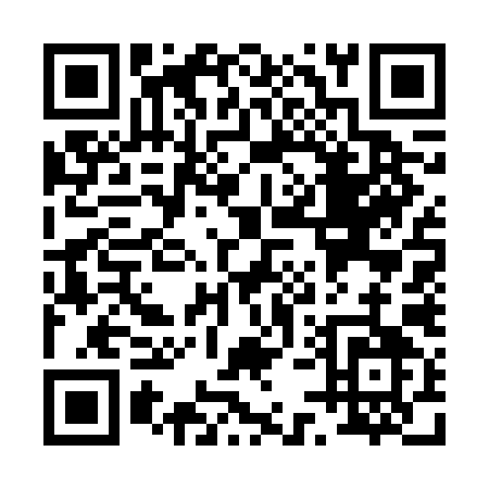 QR code for P576I