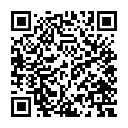 QR code for P577T