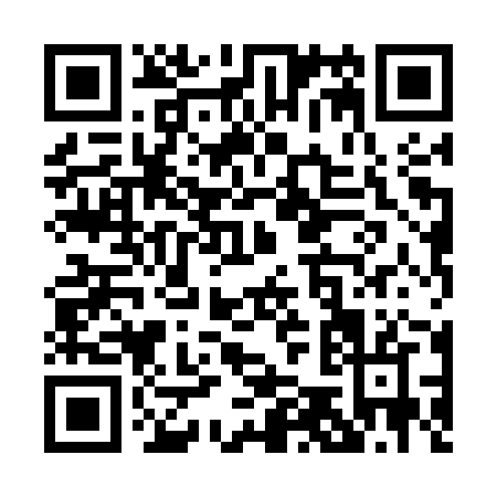 QR code for P585Z