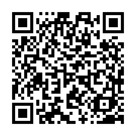 QR code for P588VI