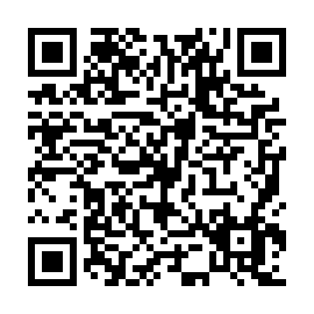 QR code for P590F