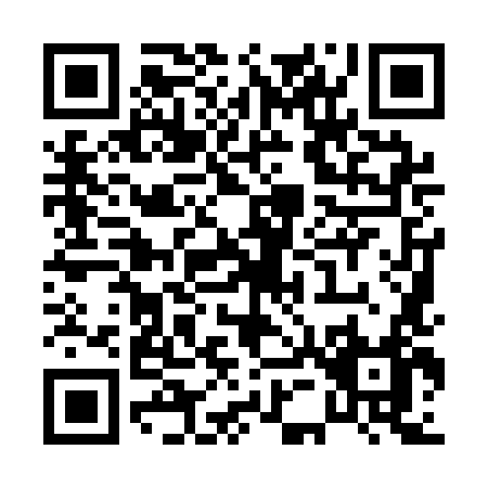 QR code for P591L