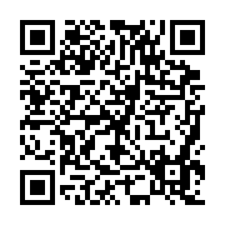 QR code for P593G
