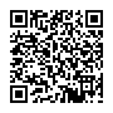 QR code for P593O