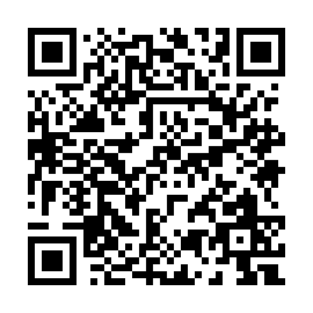 QR code for P595C