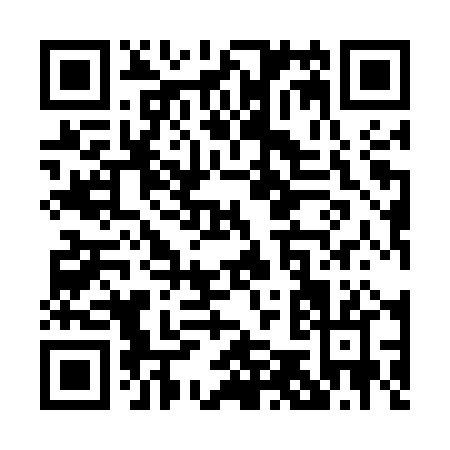 QR code for P595P