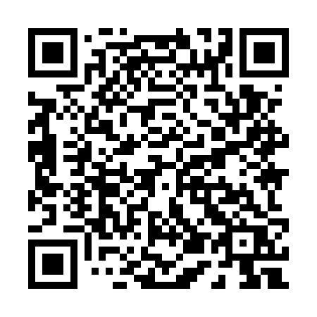 QR code for P595ZR